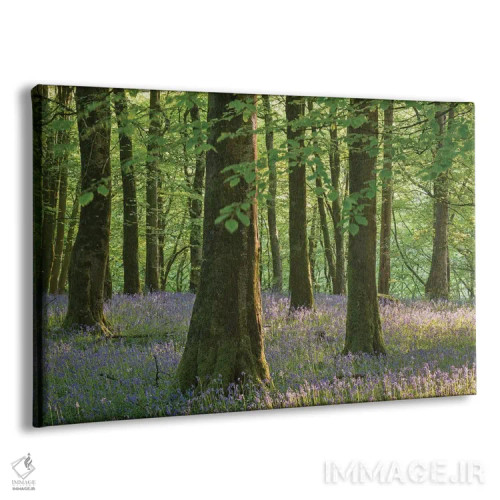 تابلو گلهای زنگولهای اگزمور اثر آدام برتون - نمای پرسپکتیو محصول