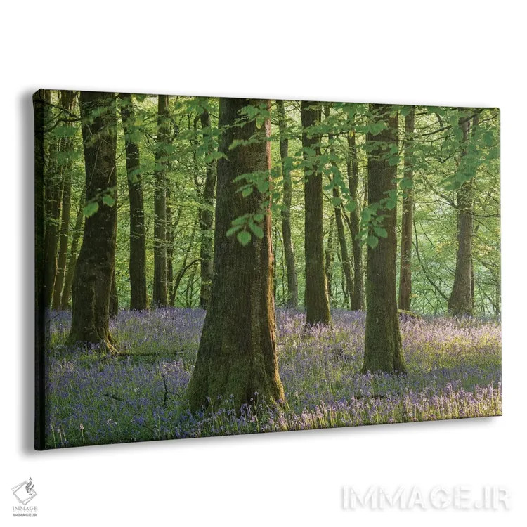 تابلو گلهای زنگولهای اگزمور اثر آدام برتون - نمای پرسپکتیو محصول