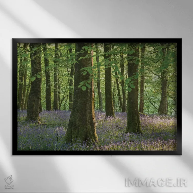 تابلو گلهای زنگولهای اگزمور اثر آدام برتون - نمای قابدار مشکی