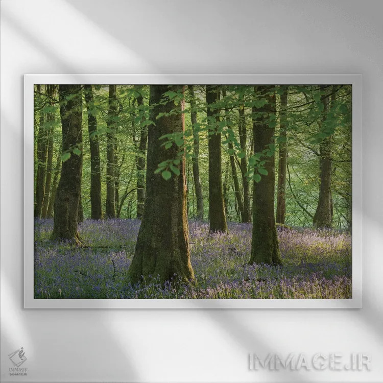 تابلو گلهای زنگولهای اگزمور اثر آدام برتون - نمای قابدار سفید