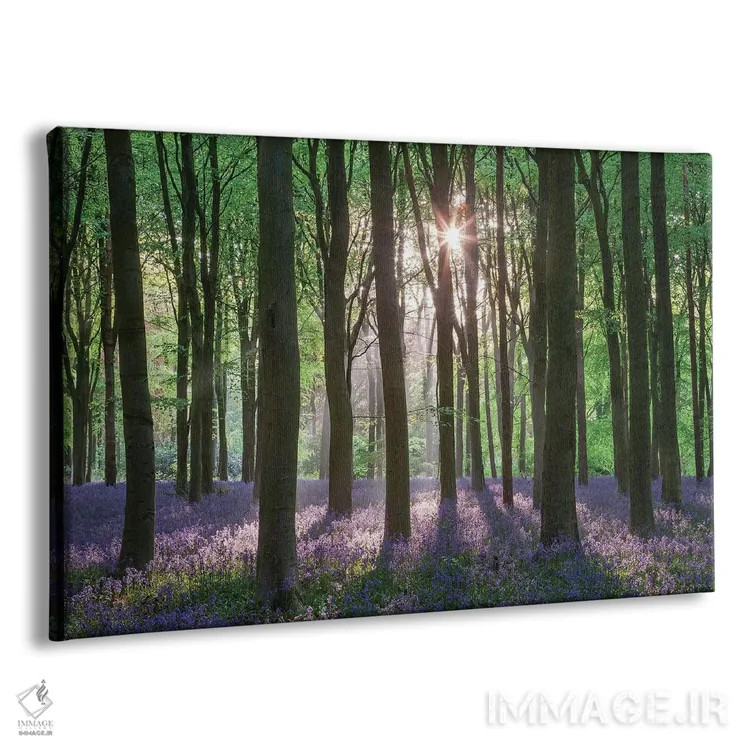 تابلو جنگل گلهای وحشی ۲ اثر آدام برتون - نمای پرسپکتیو محصول
