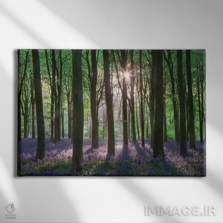 تابلو جنگل گلهای وحشی ۲ اثر آدام برتون - نمای روبهرو روی دیوار