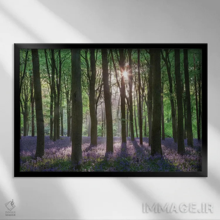 تابلو جنگل گلهای وحشی ۲ اثر آدام برتون - نمای قابدار مشکی