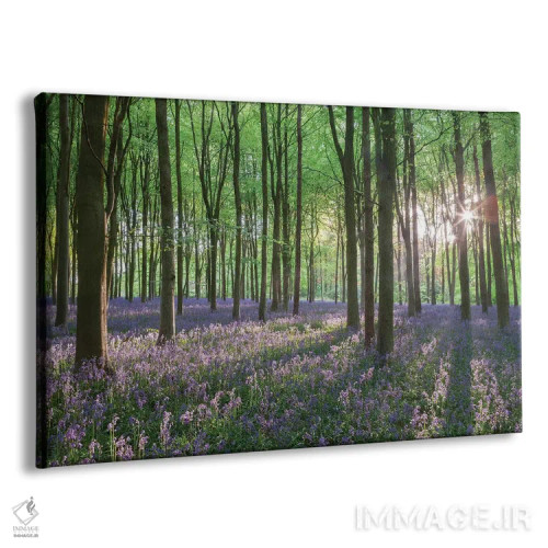 تابلو جنگل گلهای وحشی ۱ اثر آدام برتون - نمای پرسپکتیو محصول
