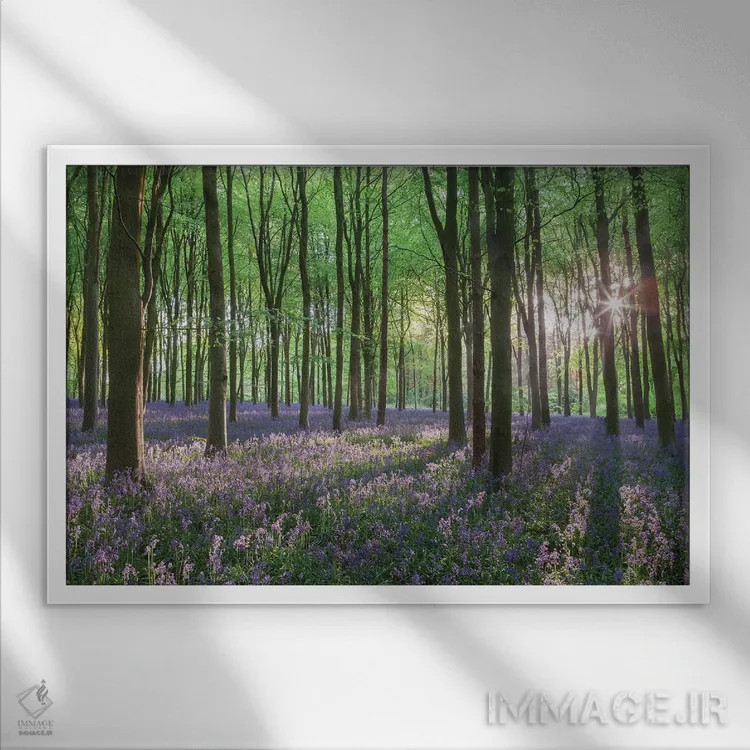 تابلو جنگل گلهای وحشی ۱ اثر آدام برتون - نمای قابدار سفید