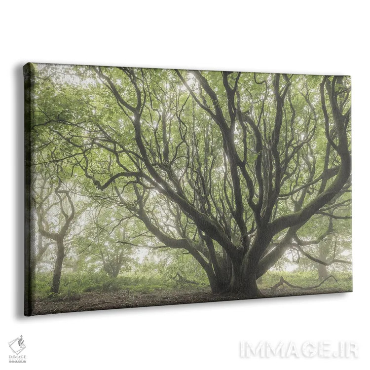 تابلو درخت دوردست اثر آدام برتون - نمای پرسپکتیو محصول