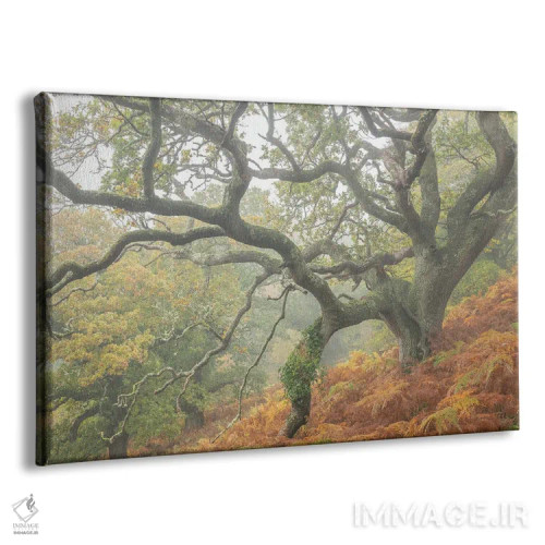 تابلو درخت جادویی دوردست اثر آدام برتون - نمای پرسپکتیو محصول
