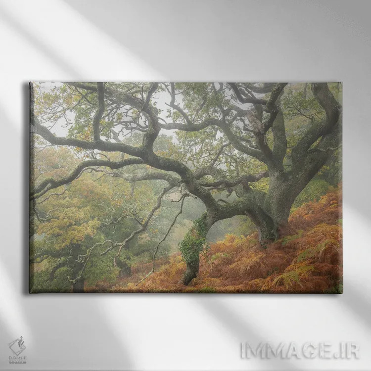 تابلو درخت جادویی دوردست اثر آدام برتون - نمای روبهرو روی دیوار