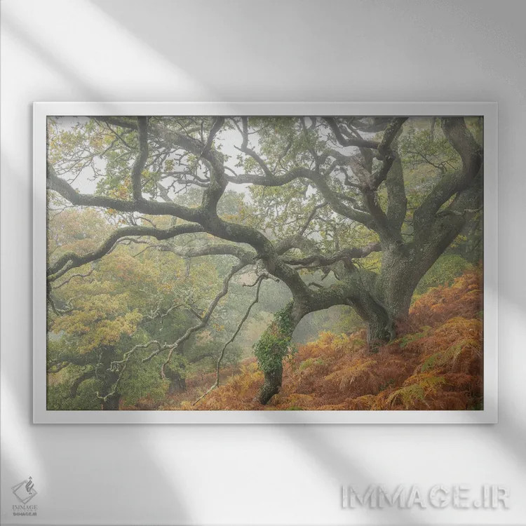 تابلو درخت جادویی دوردست اثر آدام برتون - نمای قابدار سفید