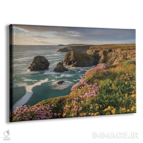 تابلو ساحل گلهای وحشی اثر آدام برتون - نمای پرسپکتیو محصول