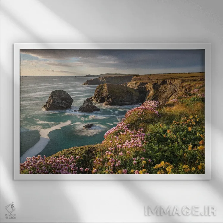 تابلو ساحل گلهای وحشی اثر آدام برتون - نمای قابدار سفید