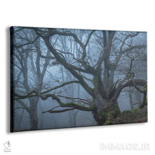 تابلو فرد/چیز باستانی اثر آدام برتون - نمای پرسپکتیو محصول