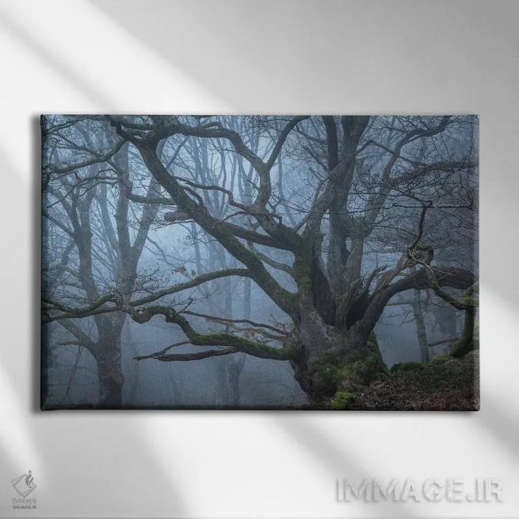 تابلو فرد/چیز باستانی اثر آدام برتون - نمای روبهرو روی دیوار