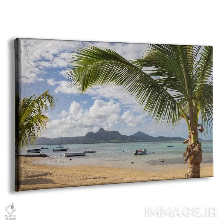 تابلو ساحل نخلستان اثر آدام برتون - نمای پرسپکتیو محصول