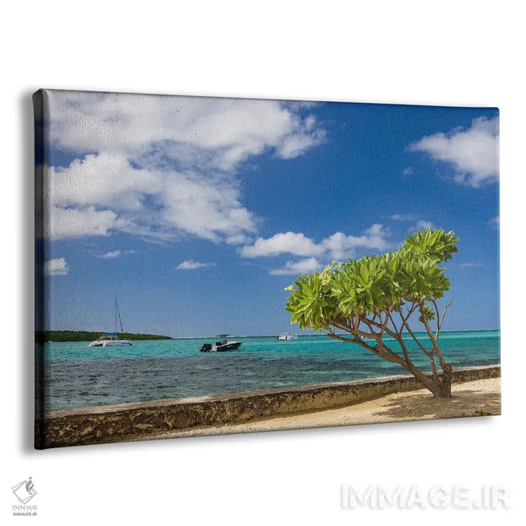 تابلو خاطرات موریس (جزیرهٔ موریس) اثر آدام برتون - نمای پرسپکتیو محصول