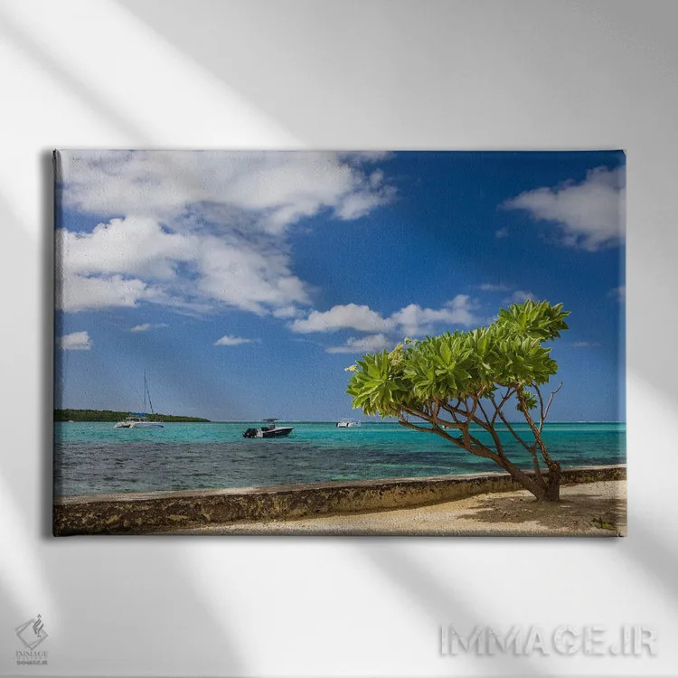 تابلو خاطرات موریس (جزیرهٔ موریس) اثر آدام برتون - نمای روبهرو روی دیوار