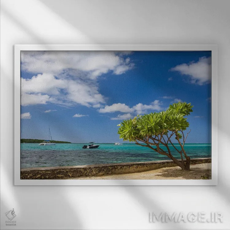 تابلو خاطرات موریس (جزیرهٔ موریس) اثر آدام برتون - نمای قابدار سفید