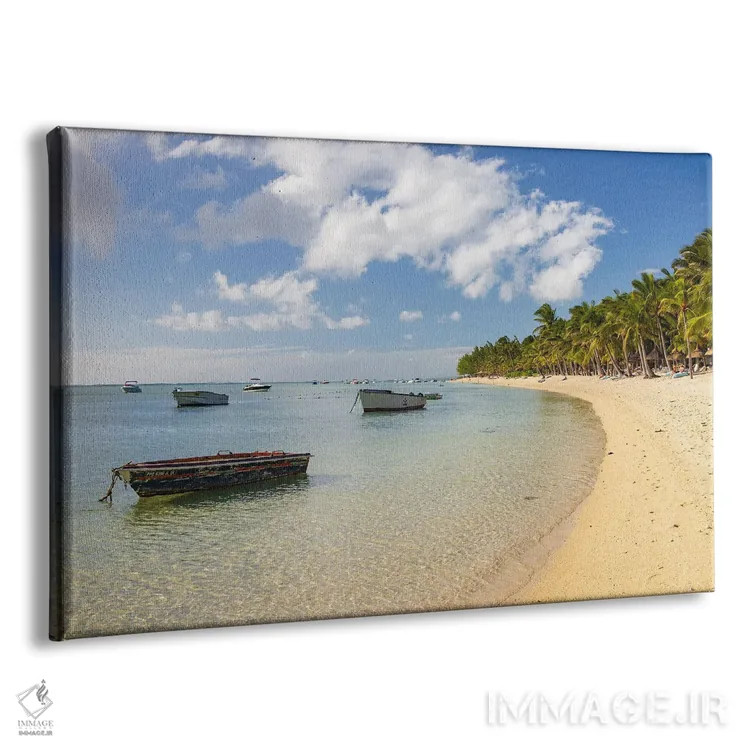 تابلو خلیج گرمسیری اثر آدام برتون - نمای پرسپکتیو محصول