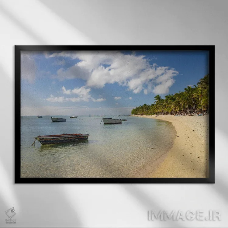 تابلو خلیج گرمسیری اثر آدام برتون - نمای قابدار مشکی