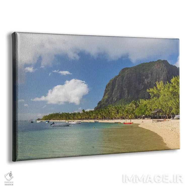 تابلو سواحل گرمسیری اثر آدام برتون - نمای پرسپکتیو محصول