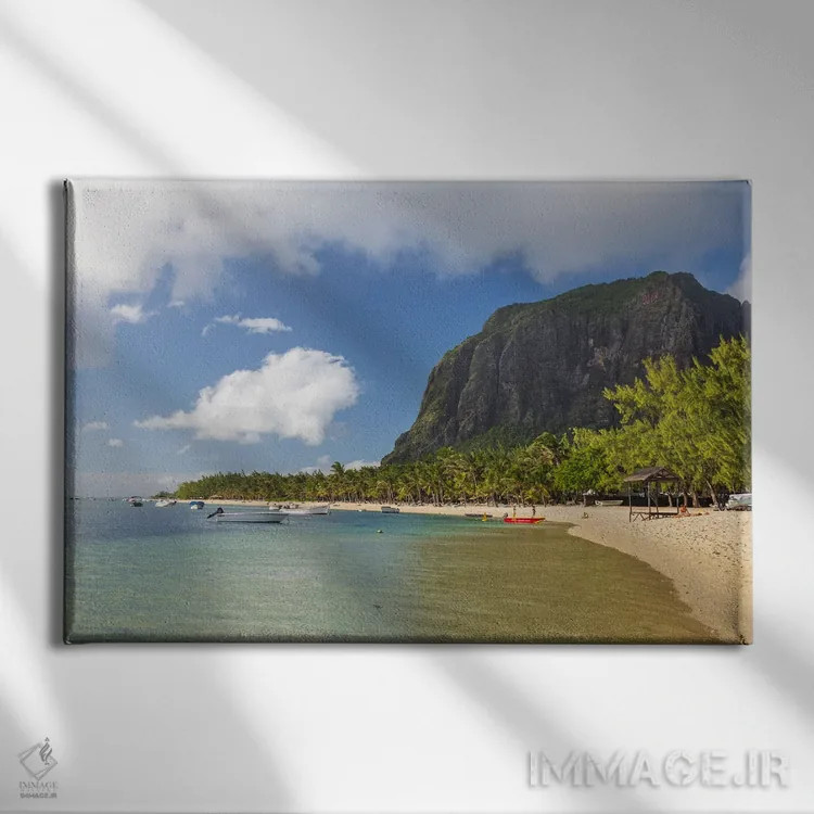 تابلو سواحل گرمسیری اثر آدام برتون - نمای روبهرو روی دیوار