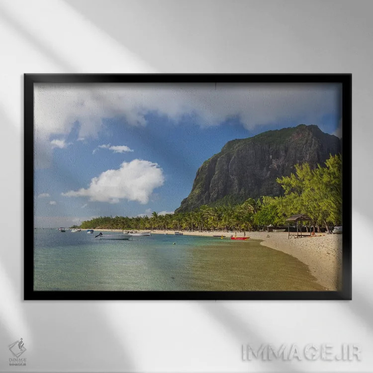 تابلو سواحل گرمسیری اثر آدام برتون - نمای قابدار مشکی