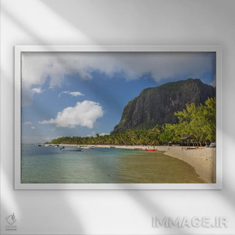 تابلو سواحل گرمسیری اثر آدام برتون - نمای قابدار سفید