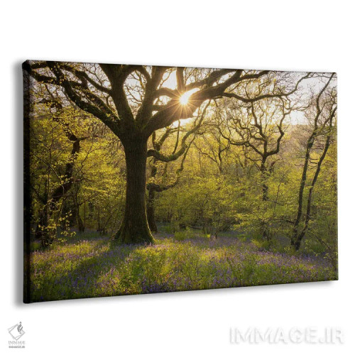 تابلو بهار در جنگل اثر آدام برتون - نمای پرسپکتیو محصول