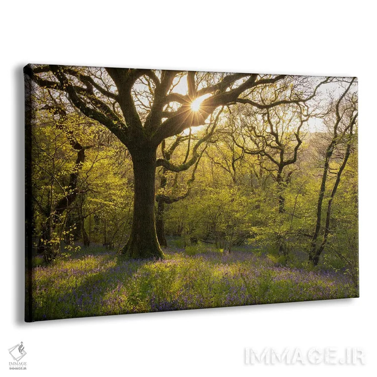 تابلو بهار در جنگل اثر آدام برتون - نمای پرسپکتیو محصول