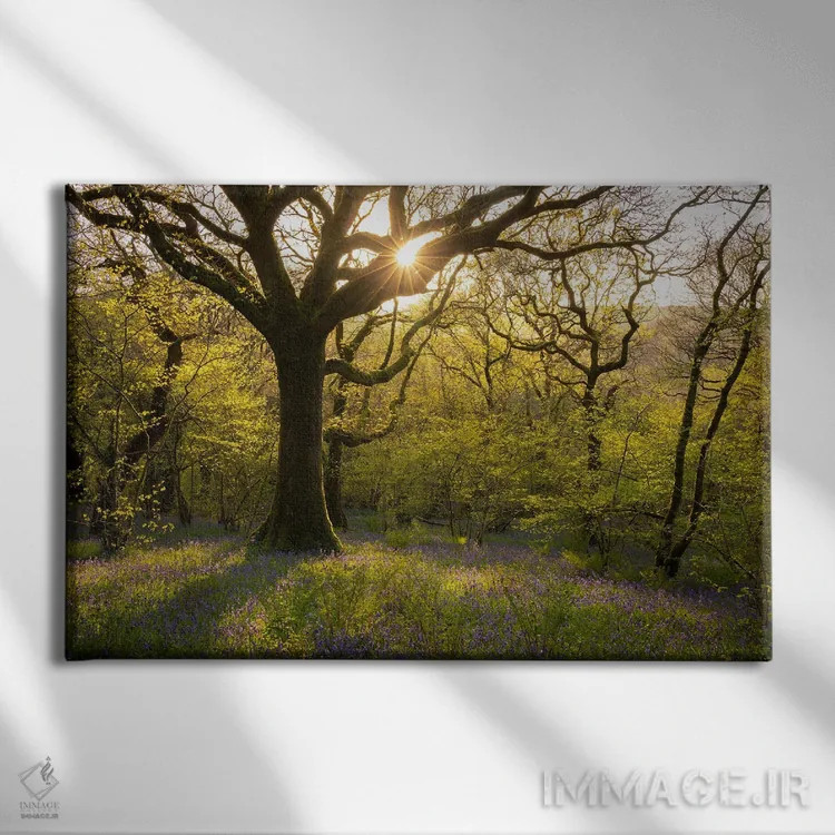 تابلو بهار در جنگل اثر آدام برتون - نمای روبهرو روی دیوار