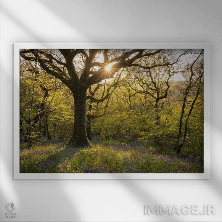 تابلو بهار در جنگل اثر آدام برتون - نمای قابدار سفید