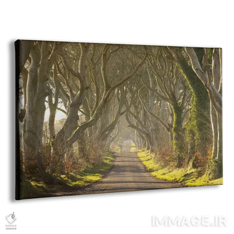 تابلو حصارهای تاریک (منظرهای در ایرلند شمالی) اثر آدام برتون - نمای پرسپکتیو محصول