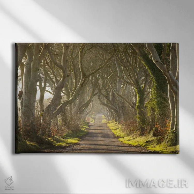 تابلو حصارهای تاریک (منظرهای در ایرلند شمالی) اثر آدام برتون - نمای روبهرو روی دیوار