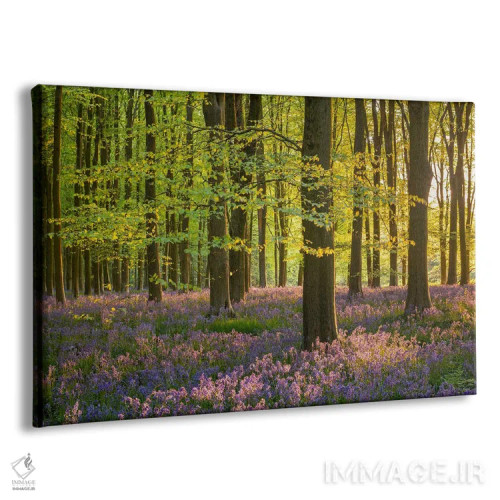 تابلو رؤیاهای جنگلی اثر آدام برتون - نمای پرسپکتیو محصول