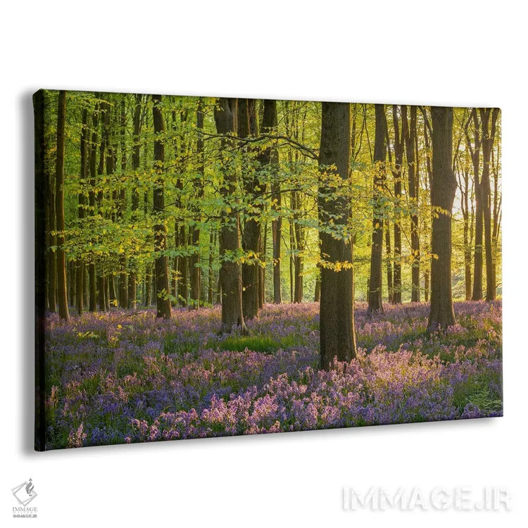 تابلو رؤیاهای جنگلی اثر آدام برتون - نمای پرسپکتیو محصول