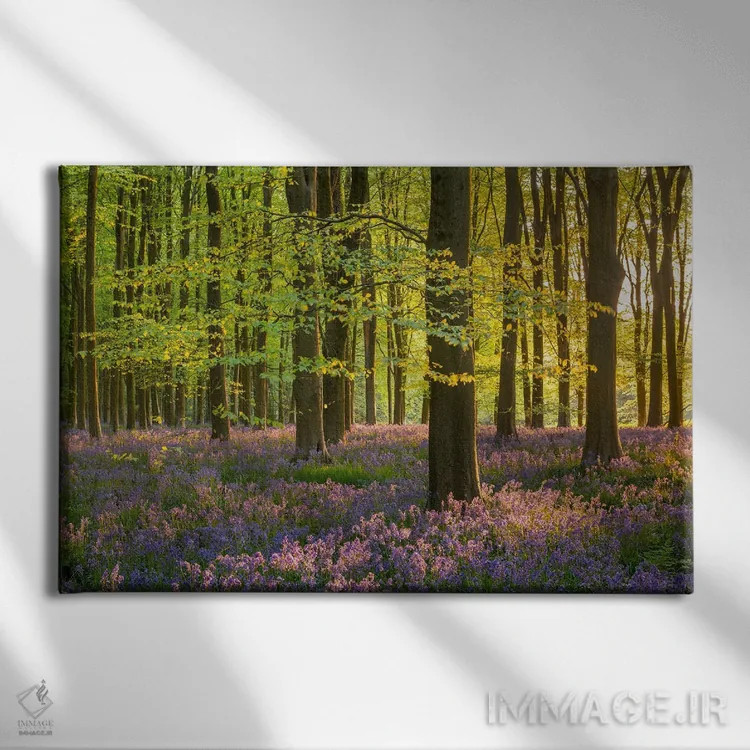 تابلو رؤیاهای جنگلی اثر آدام برتون - نمای روبهرو روی دیوار