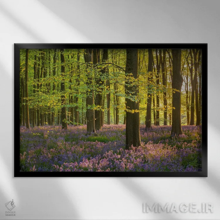 تابلو رؤیاهای جنگلی اثر آدام برتون - نمای قابدار مشکی