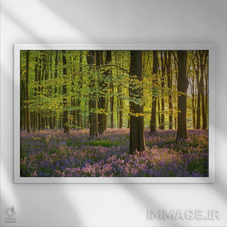 تابلو رؤیاهای جنگلی اثر آدام برتون - نمای قابدار سفید