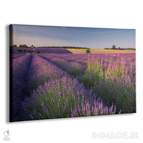 تابلو صورتی و بنفش اثر آدام برتون - نمای پرسپکتیو محصول