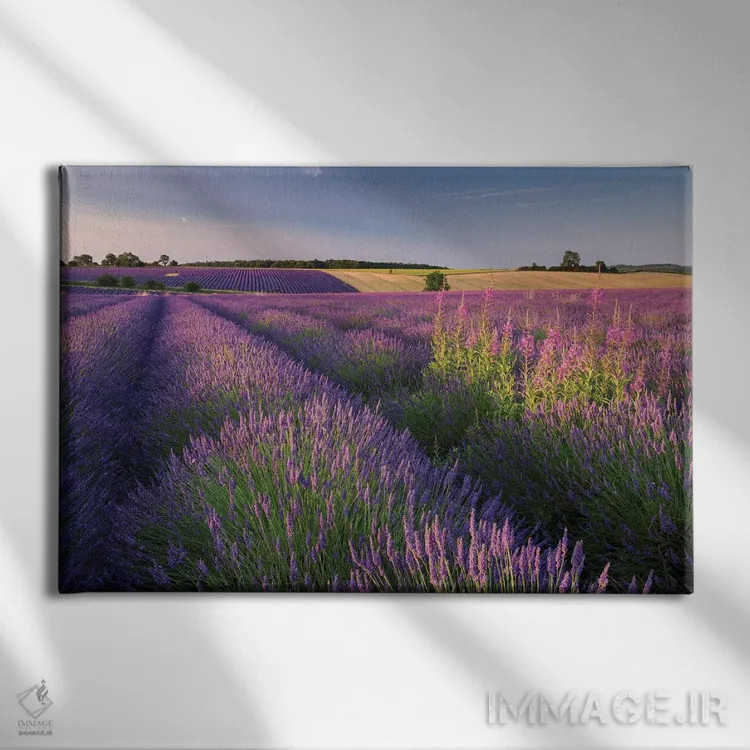 تابلو صورتی و بنفش اثر آدام برتون - نمای روبهرو روی دیوار