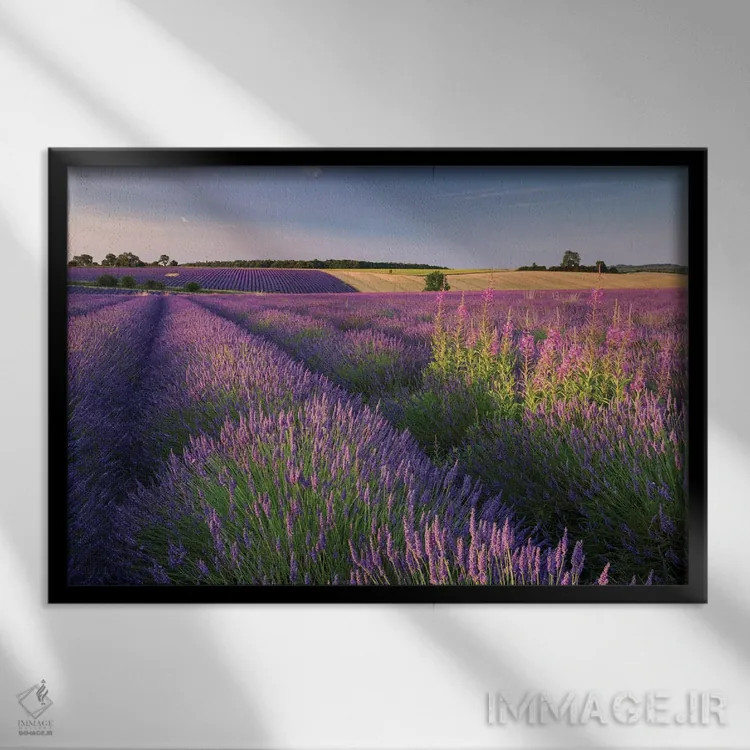 تابلو صورتی و بنفش اثر آدام برتون - نمای قابدار مشکی