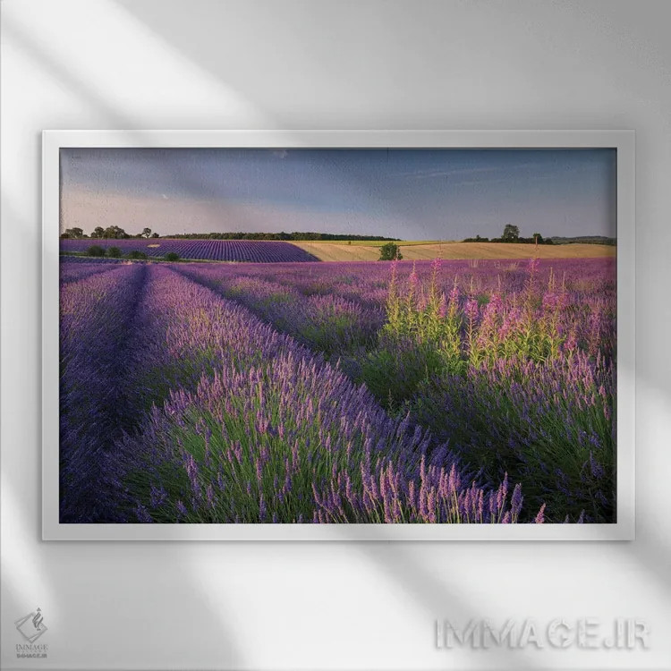 تابلو صورتی و بنفش اثر آدام برتون - نمای قابدار سفید