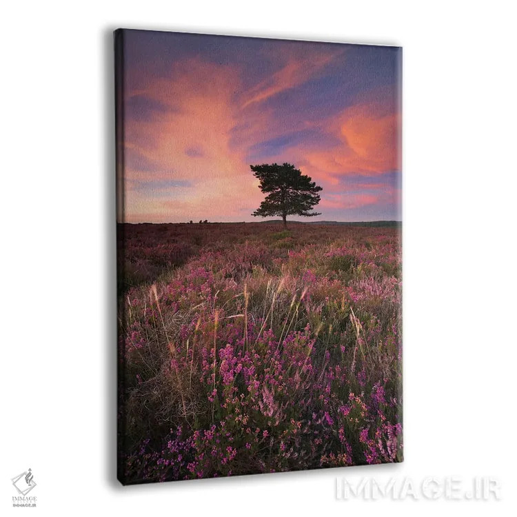 تابلو زیبا در رنگ صورتی ۳ اثر آدام برتون - نمای پرسپکتیو محصول