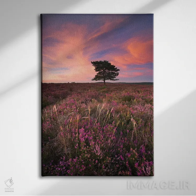 تابلو زیبا در رنگ صورتی ۳ اثر آدام برتون - نمای روبهرو روی دیوار