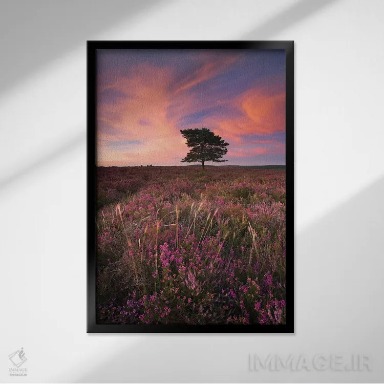 تابلو زیبا در رنگ صورتی ۳ اثر آدام برتون - نمای قابدار مشکی