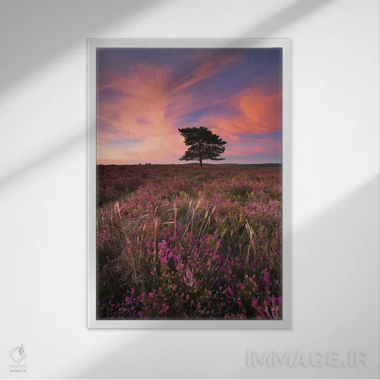 تابلو زیبا در رنگ صورتی ۳ اثر آدام برتون - نمای قابدار سفید