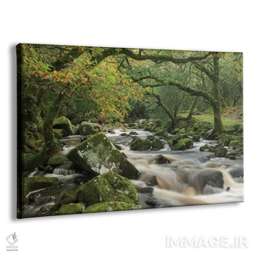 تابلو جنگل دوئراستون اثر آدام برتون - نمای پرسپکتیو محصول