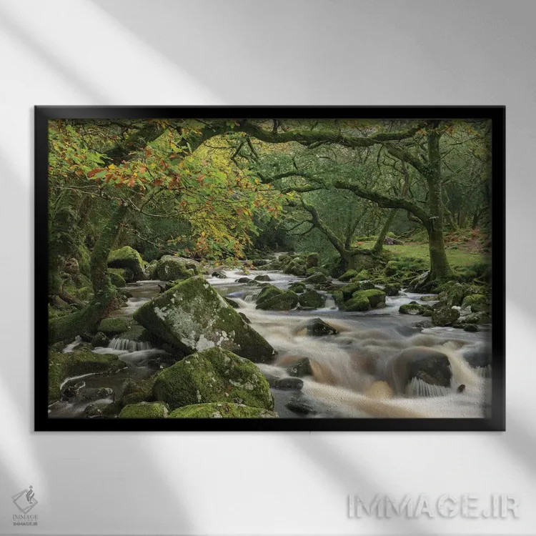 تابلو جنگل دوئراستون اثر آدام برتون - نمای قابدار مشکی