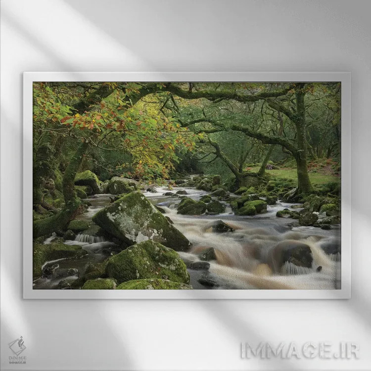 تابلو جنگل دوئراستون اثر آدام برتون - نمای قابدار سفید