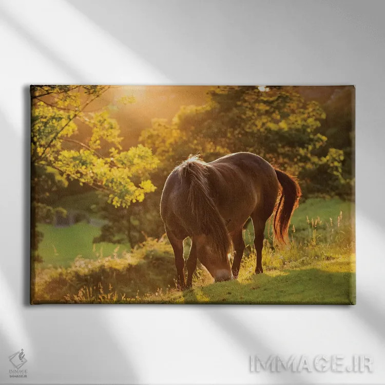 تابلو اسب اکسمور (نژاد خاص انگلیسی) اثر آدام برتون - نمای روبهرو روی دیوار